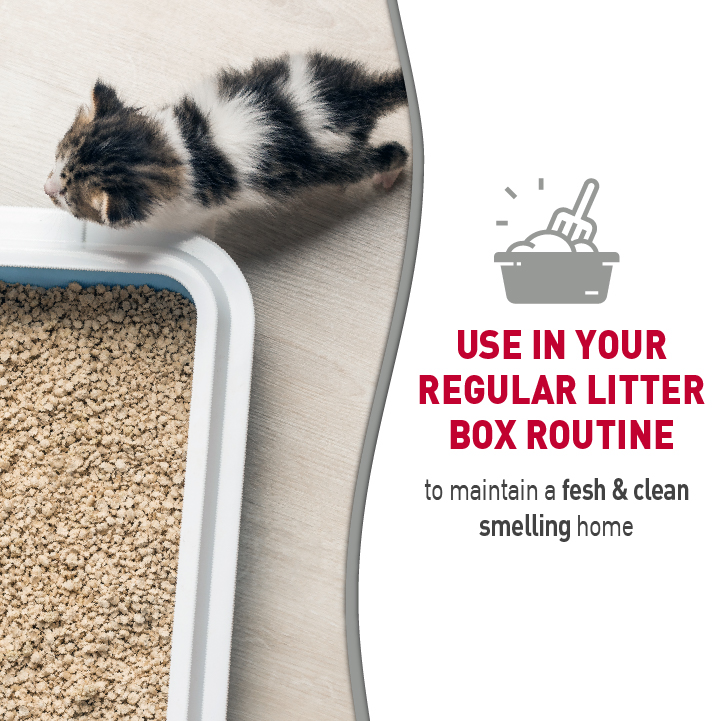 Fresh 4 life clearance odor destroyer cat litter
